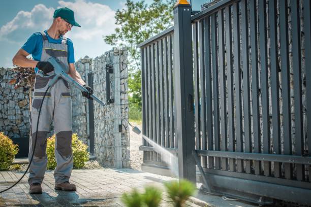 Best Gutter Cleaning  in Woodville, OH