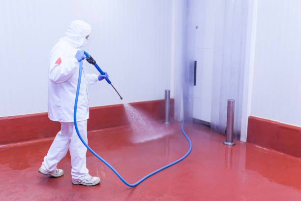 Best Spring Cleaning  in Woodville, OH