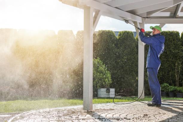 Best Driveway Pressure Washing  in Woodville, OH