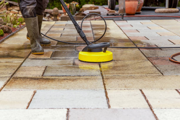 Best Pre-Holiday Cleaning  in Woodville, OH
