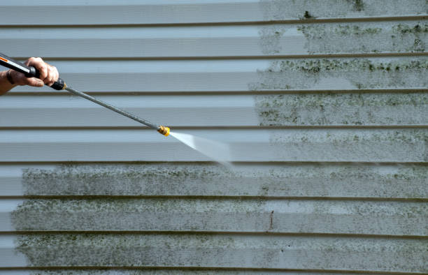 Best Driveway Pressure Washing  in Woodville, OH