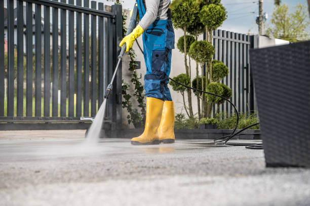 Best Roof Washing  in Woodville, OH