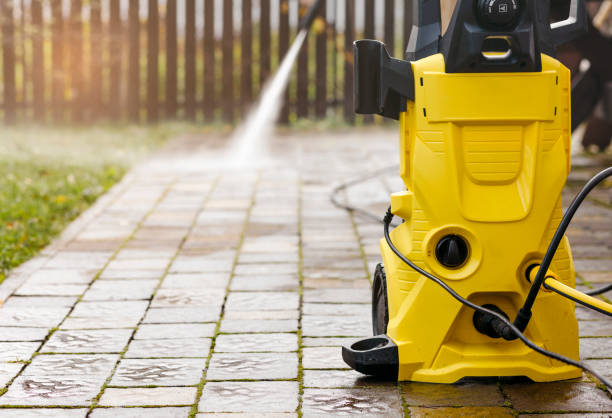 Best Animal Enclosure Cleaning  in Woodville, OH